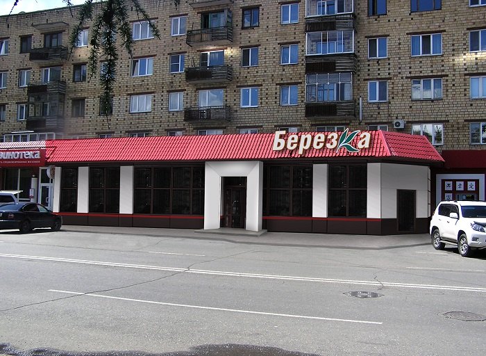 макет Берёзка6_2д