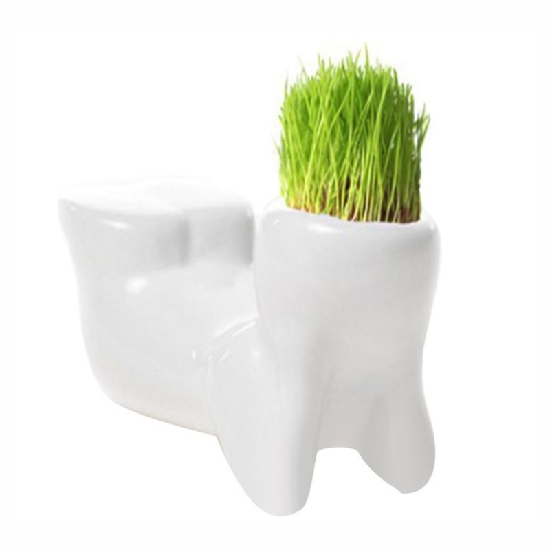 Эко-сувениры